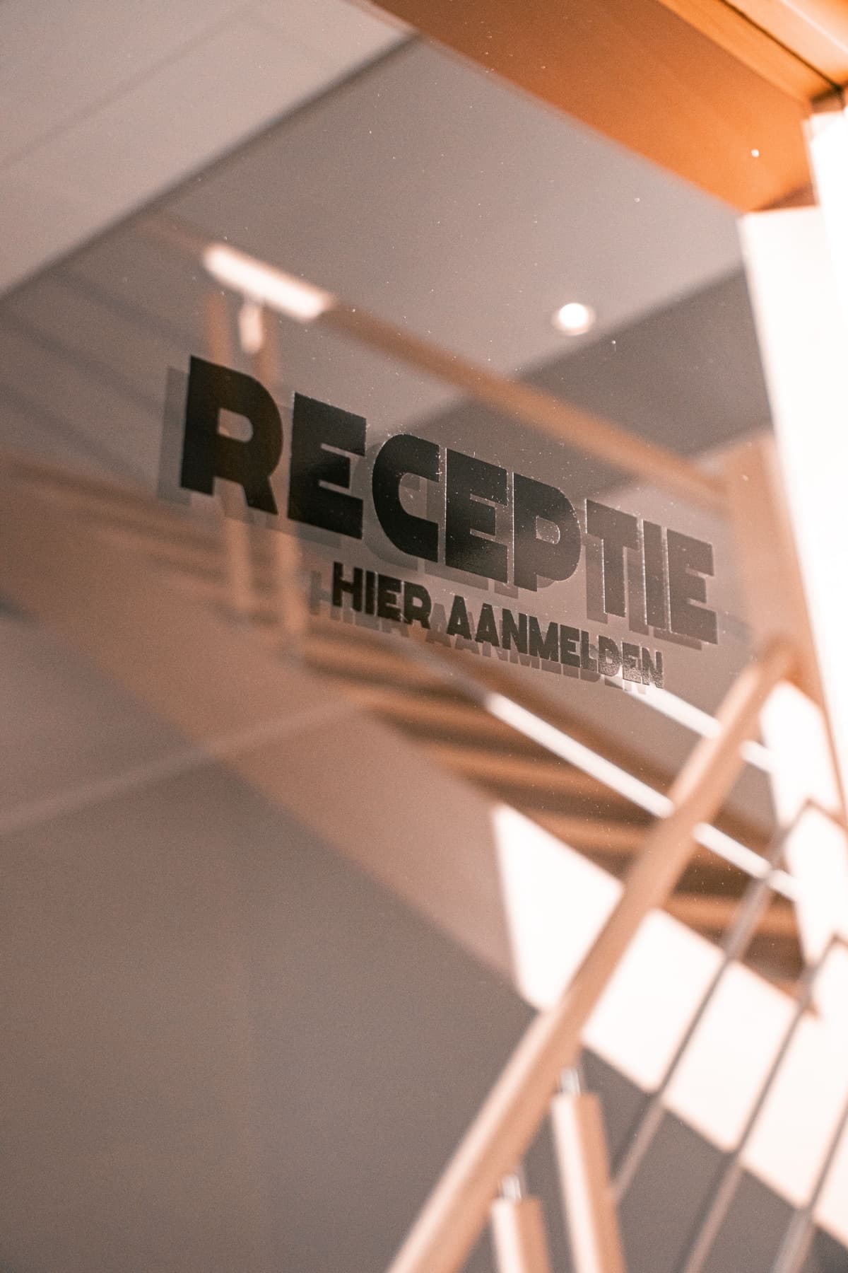 De receptie van Raccoon Motors