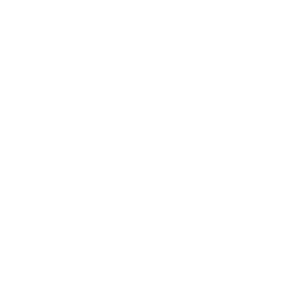 Raccoon Motors